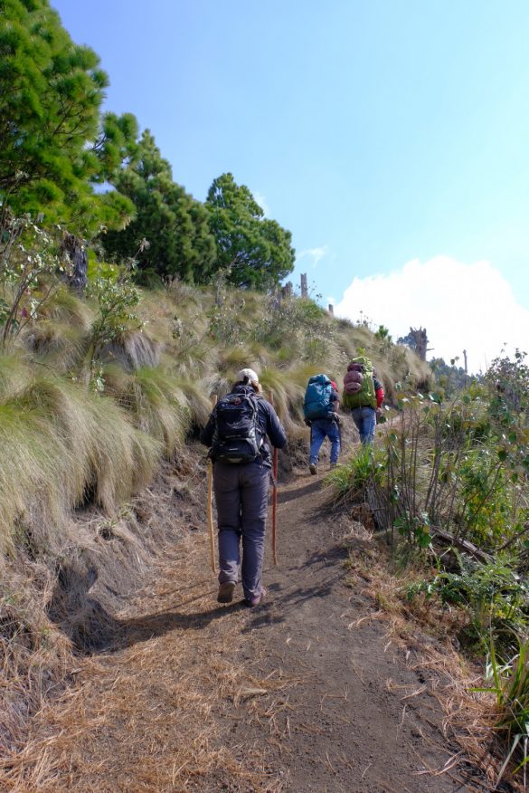 Trail auf Acatenango