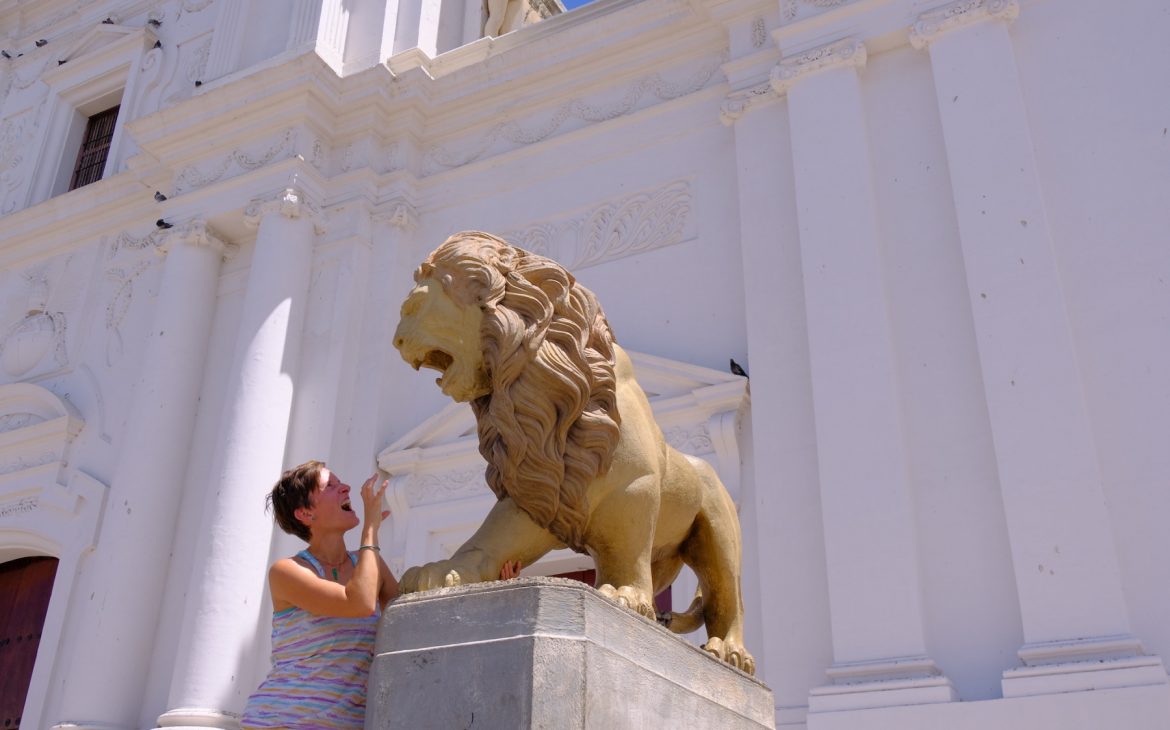 Löwe vor der Kathedrale