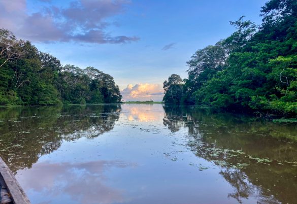 Kreuzung zum Amazonas